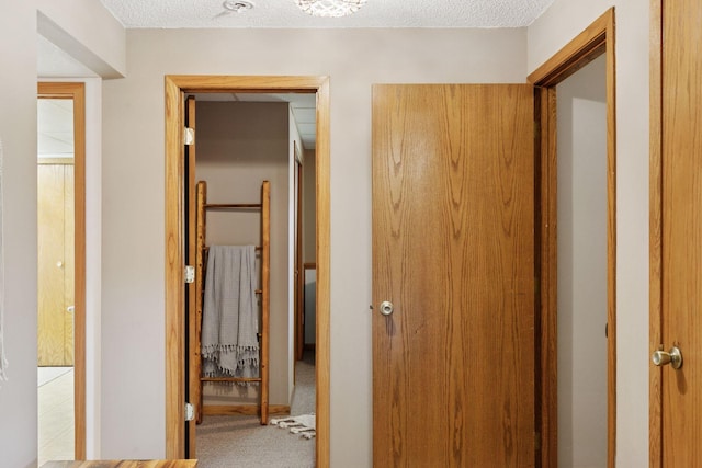 704 Lexington Ave N, New Prague, MN 56071 - hall featuring carpet and a textured ceiling