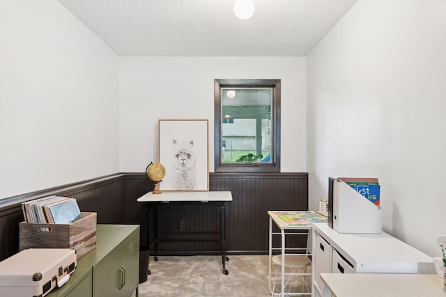 704 Lexington Ave N, New Prague, MN 56071 - sitting room with wainscoting, a textured ceiling, and light colored carpet