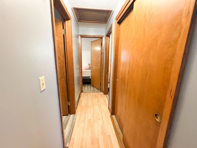 1908 Summit Ave, Worthington, MN 56187 - hallway featuring light wood-style flooring