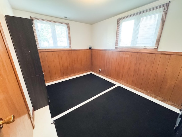 1908 Summit Ave, Worthington, MN 56187 - spare room featuring a wainscoted wall, healthy amount of natural light, and wooden walls