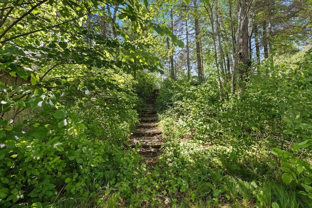 31905 Jefferson Blvd, Greenway Twp, MN 55775 - view of undeveloped land