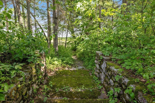 31905 Jefferson Blvd, Greenway Twp, MN 55775 - view of nature