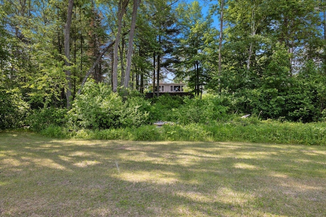 31905 Jefferson Blvd, Greenway Twp, MN 55775 - view of grassy yard featuring a forest view