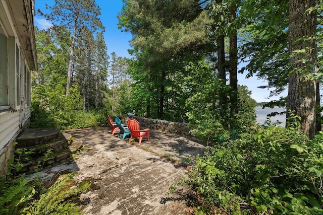 31905 Jefferson Blvd, Greenway Twp, MN 55775 - view of yard featuring a patio