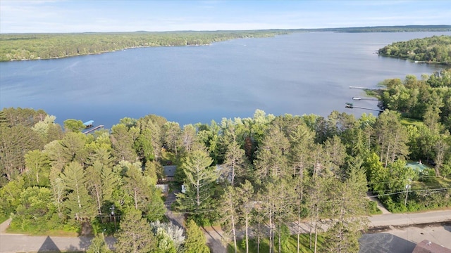 31905 Jefferson Blvd, Greenway Twp, MN 55775 - aerial view of property's location with a heavily wooded area and a nearby body of water