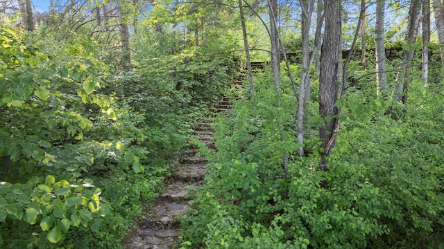 31905 Jefferson Blvd, Greenway Twp, MN 55775 - view of nature