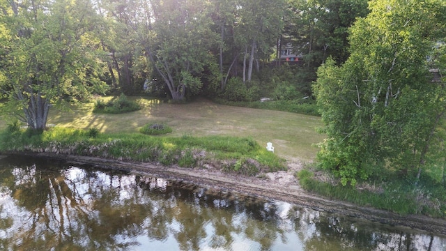 31905 Jefferson Blvd, Greenway Twp, MN 55775 - water view