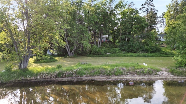 31905 Jefferson Blvd, Greenway Twp, MN 55775 - view of green lawn featuring a water view