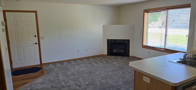 5293 Manchester Dr Unit 1, Maple Plain, MN 55359 - unfurnished living room featuring a premium fireplace and carpet floors