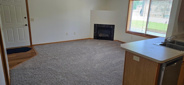 5293 Manchester Dr Unit 1, Maple Plain, MN 55359 - photo 1