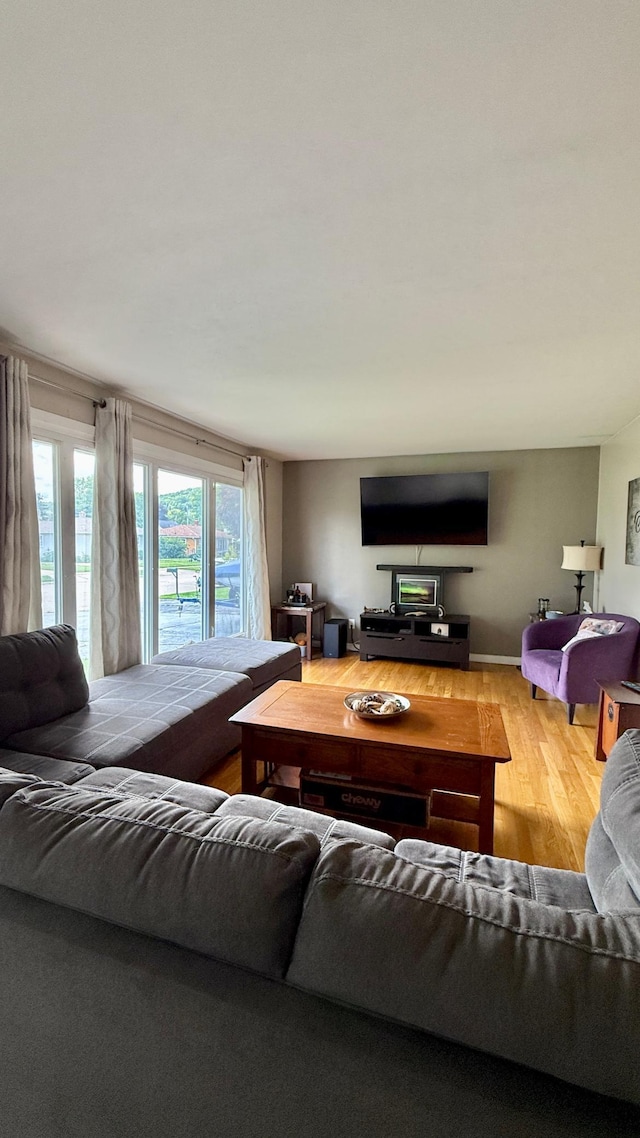 306 4th St, La Crescent, MN 55947 - living area featuring wood finished floors