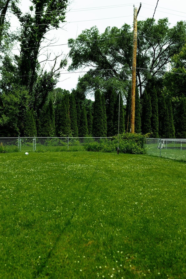 306 4th St, La Crescent, MN 55947 - view of yard