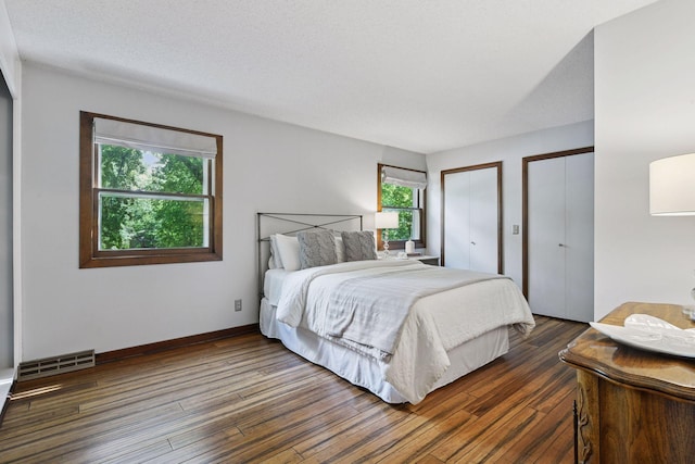 10301 Brunswick Cir, Bloomington, MN 55438 - bedroom with two closets and wood finished floors