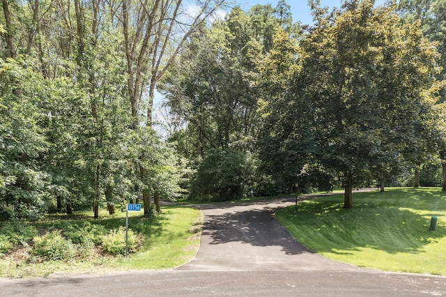 13756 Skyline Cir, Louisville Twp, MN 55379 - view of street