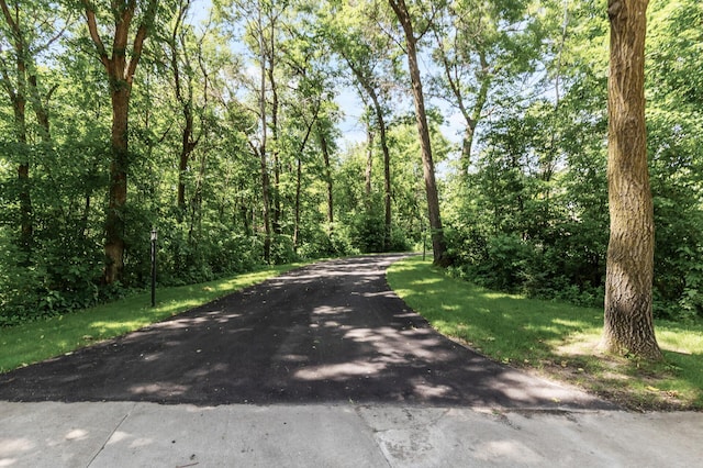 13756 Skyline Cir, Louisville Twp, MN 55379 - view of road featuring a view of trees