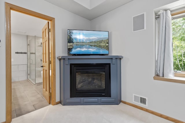 13756 Skyline Cir, Louisville Twp, MN 55379 - detailed view of a glass covered fireplace and baseboards