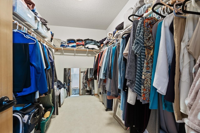 13756 Skyline Cir, Louisville Twp, MN 55379 - spacious closet featuring carpet