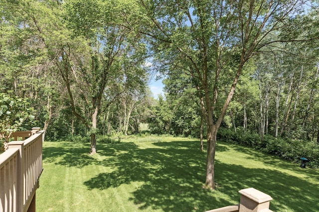 13756 Skyline Cir, Louisville Twp, MN 55379 - view of green lawn
