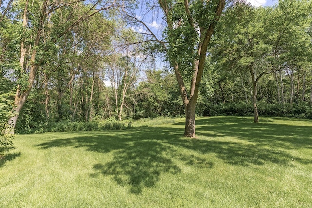 13756 Skyline Cir, Louisville Twp, MN 55379 - view of green lawn