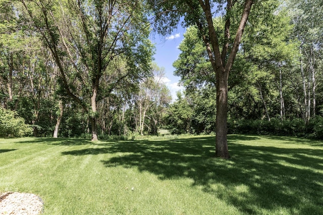 13756 Skyline Cir, Louisville Twp, MN 55379 - view of grassy yard