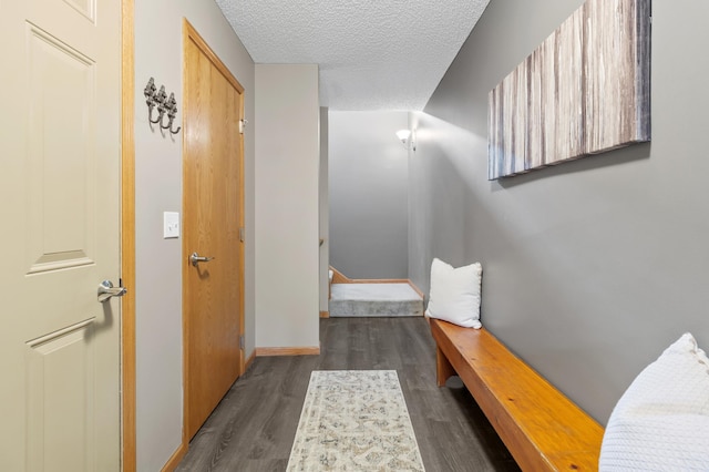 9769 Pinehurst Ct, Elko New Market, MN 55020 - hallway with dark wood-style flooring and a textured ceiling