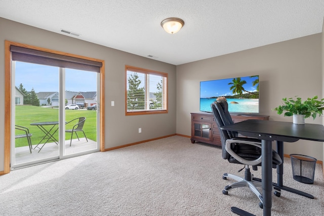 9769 Pinehurst Ct, Elko New Market, MN 55020 - office with light carpet and a textured ceiling