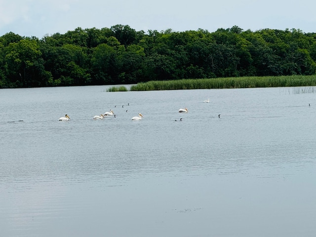 21631 Kandi-Swift Rd NW, Norway Lake Twp, MN 56289