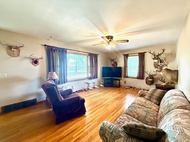 819 Washington St E, Caledonia, MN 55921 - living room with wood finished floors and a ceiling fan