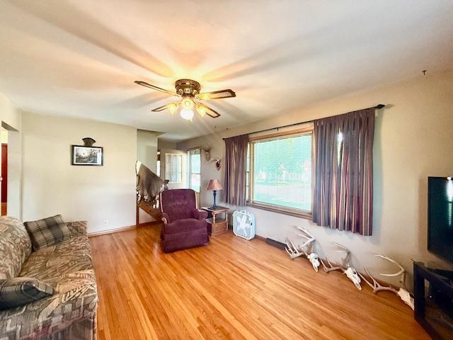 819 Washington St E, Caledonia, MN 55921 - living room featuring a ceiling fan and light wood-style floors