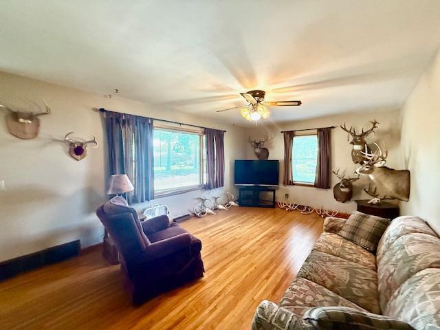 819 Washington St E, Caledonia, MN 55921 - living room with plenty of natural light, wood finished floors, and ceiling fan