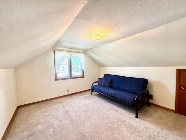 819 Washington St E, Caledonia, MN 55921 - additional living space featuring carpet flooring, a textured ceiling, and lofted ceiling