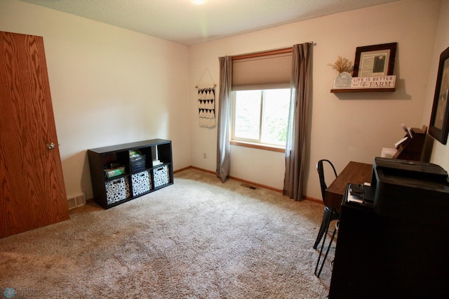 111 Dakota Dr, Hankinson, ND 58041 - photo 30