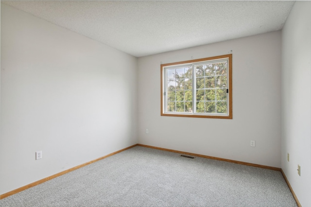 12100 Killdeer St NW Unit 512Nw, Coon Rapids, MN 55448 - spare room with carpet floors and a textured ceiling