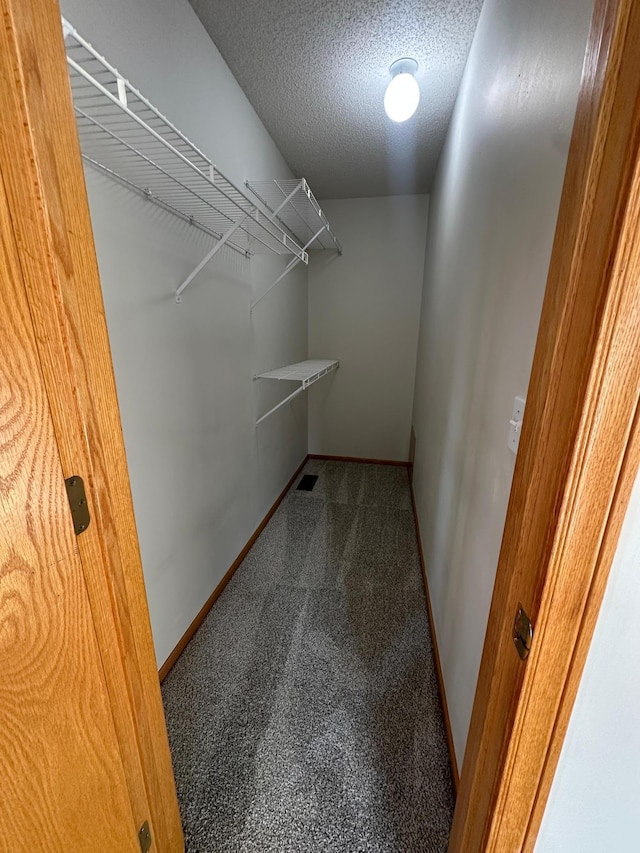 12100 Killdeer St NW Unit 512Nw, Coon Rapids, MN 55448 - spacious closet with carpet