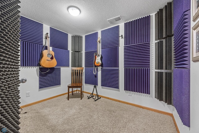 122 15th Ave E, Fargo, ND 58078 - living area with carpet floors and a textured ceiling