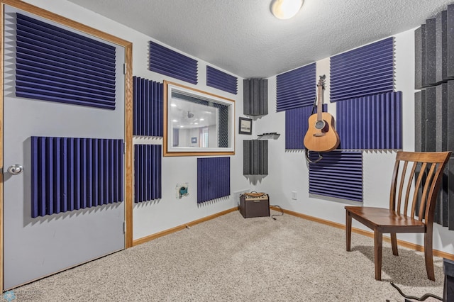 122 15th Ave E, Fargo, ND 58078 - sitting room featuring carpet floors and a textured ceiling