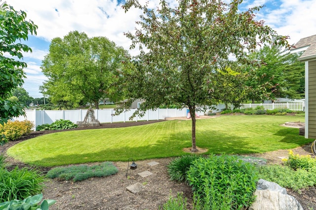 1430 Hoot Lake Dr, Fergus Falls, MN 56537 - view of fenced backyard