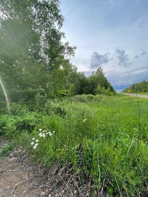 TBDParcelI Fox Road, Hinckley, MN 55037