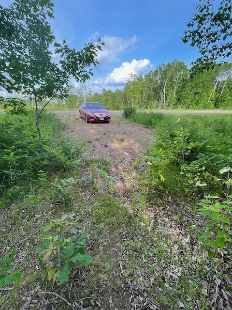 TBDParcelI Fox Road, Hinckley, MN 55037