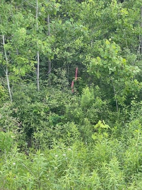 TBDParcelI Fox Road, Hinckley, MN 55037