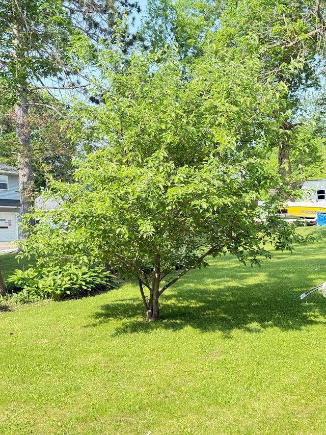 301 Maple St W, Frederic, WI 54837 - view of grassy yard