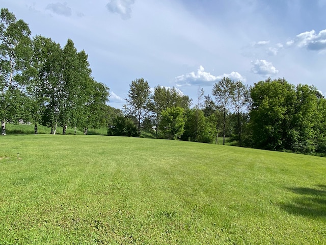 3653 Front St, Barnum, MN 55707 - view of green lawn