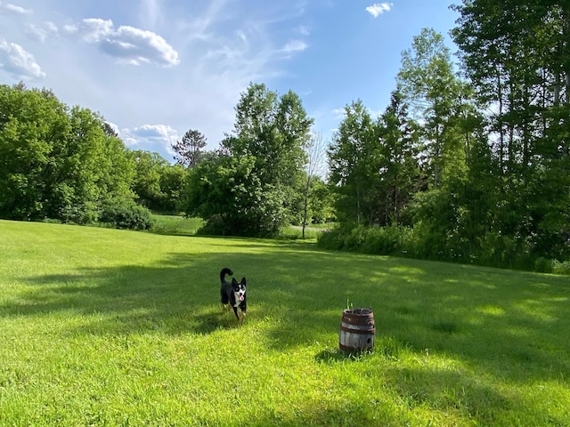 3653 Front St, Barnum, MN 55707 - surrounding community with a yard