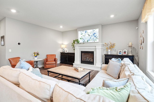 6439 Alvina Ct, Inver Grove Heights, MN 55077 - living room featuring wood finished floors, a glass covered fireplace, and recessed lighting