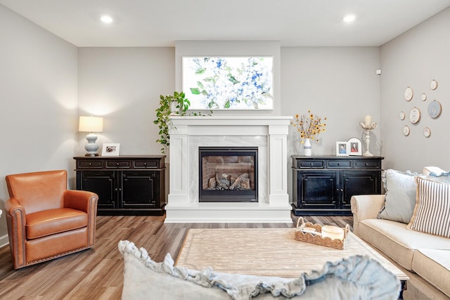 6439 Alvina Ct, Inver Grove Heights, MN 55077 - living room featuring wood finished floors, a premium fireplace, and recessed lighting