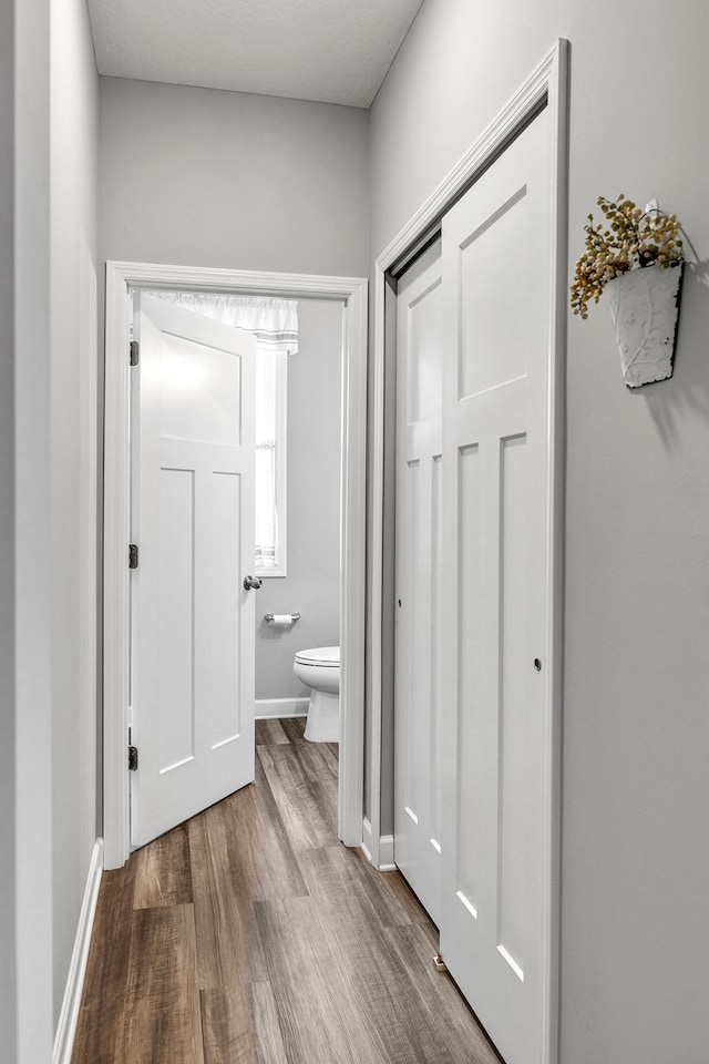 6439 Alvina Ct, Inver Grove Heights, MN 55077 - bathroom featuring wood finished floors and toilet