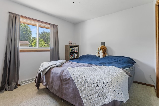 150 Outer Dr, Le Sueur, MN 56058 - photo 19