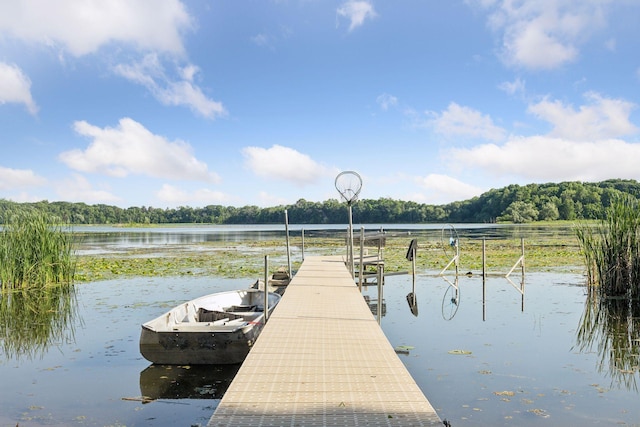 12105 285th St, Lindstrom, MN 55045 - dock area with a view of trees and a water view