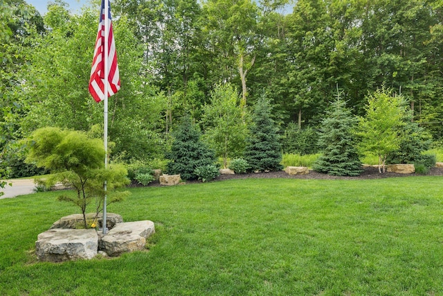 12105 285th St, Lindstrom, MN 55045 - view of grassy yard