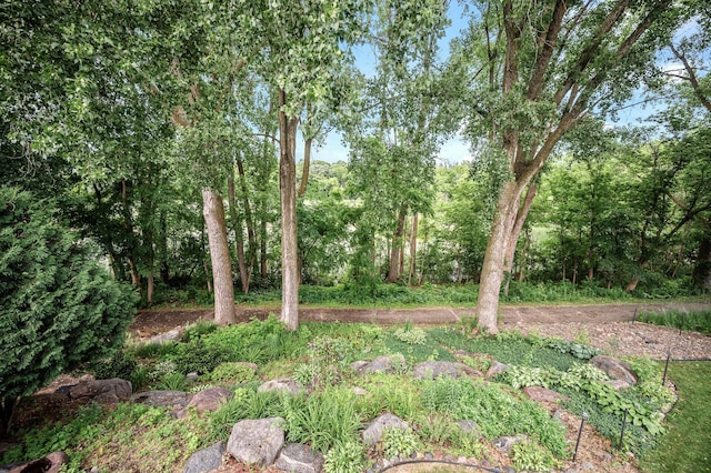 3894 Kestrel St SW, Prior Lake, MN 55372 - view of yard